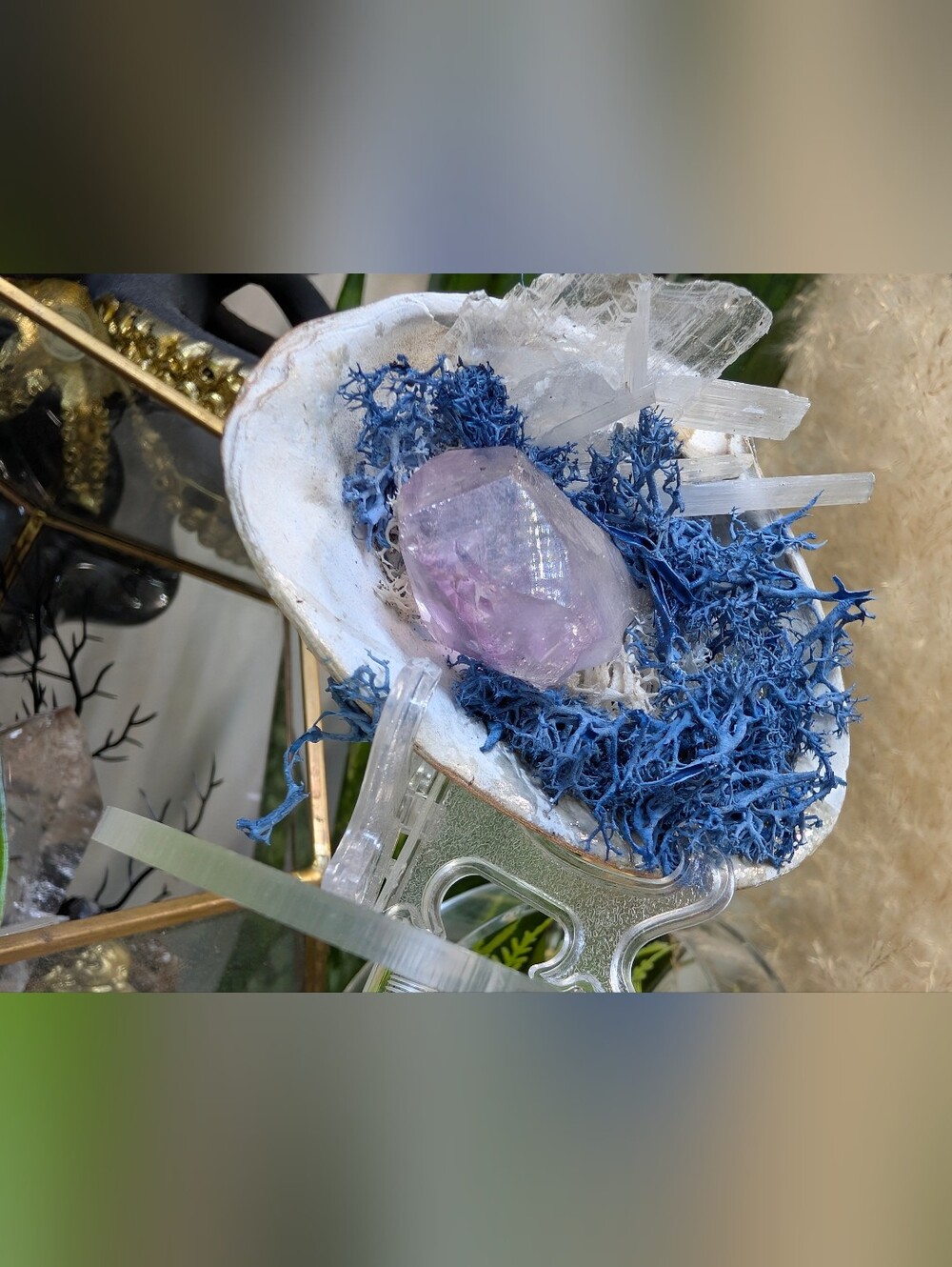 Amethyst & Selenite Crystals in Moss Seashell (stand Included)